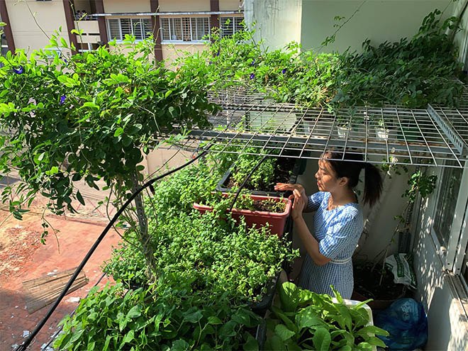 Cải tạo ban công làm vườn