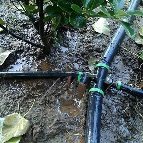 Lắp đặt ống nước nhà vườn