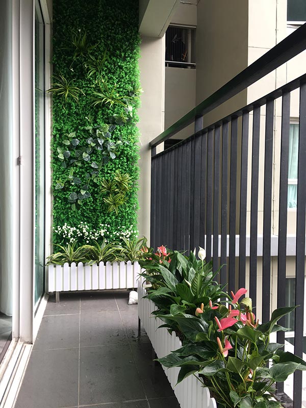 Lắp tường cây xanh ban công