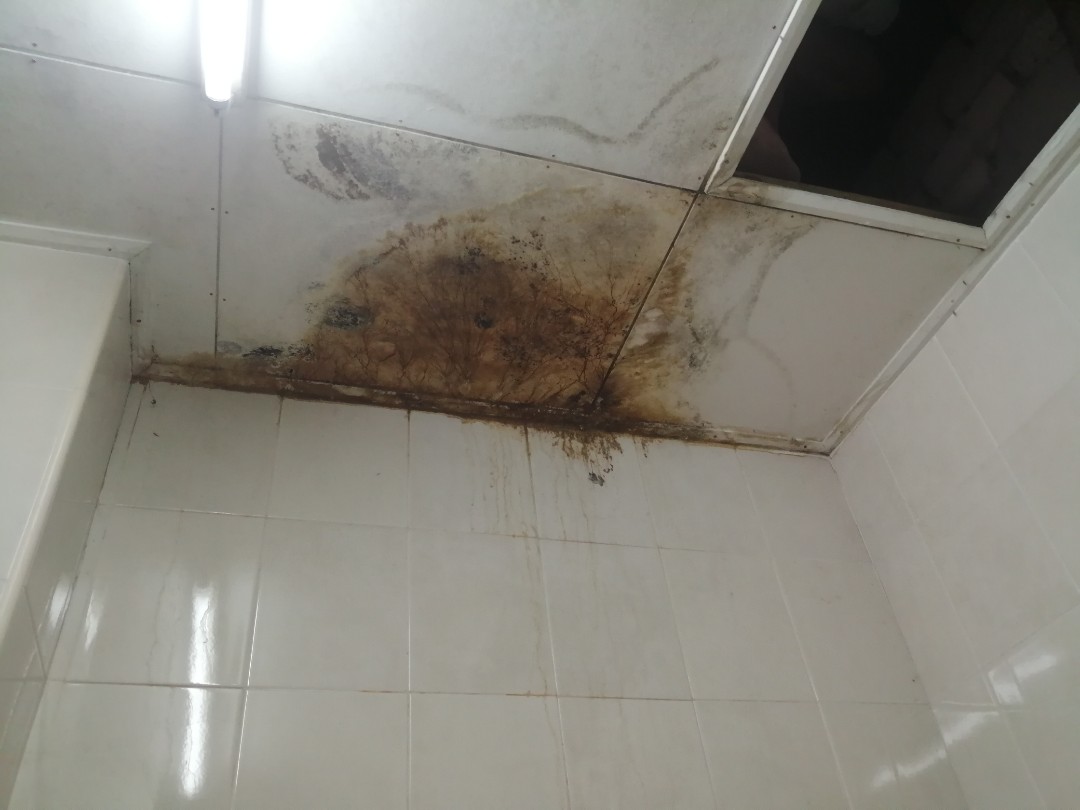 Vệ sinh khu vực bị thấm