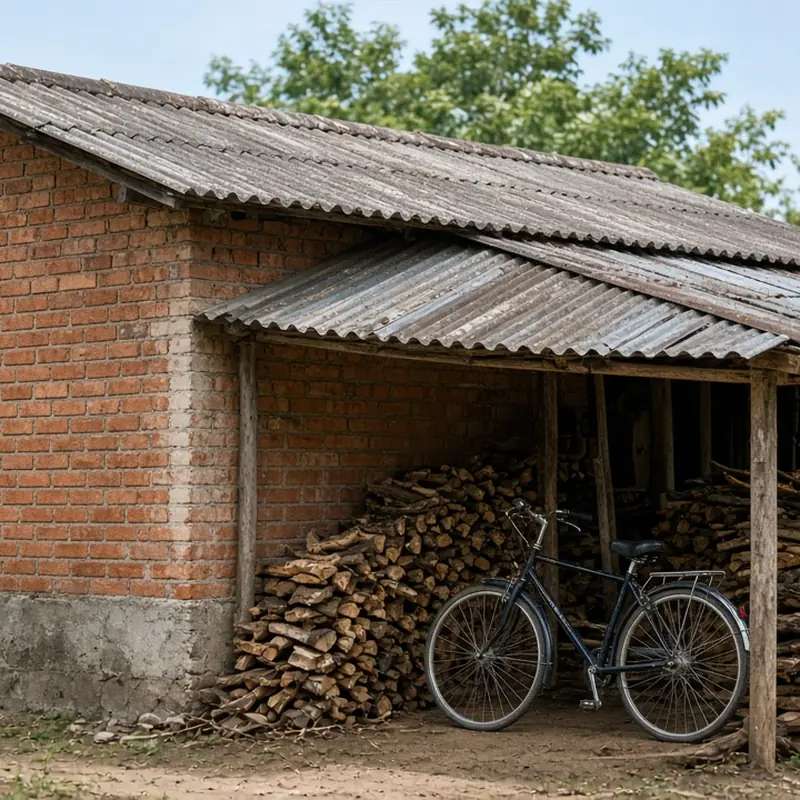 Nhà phụ & chái
