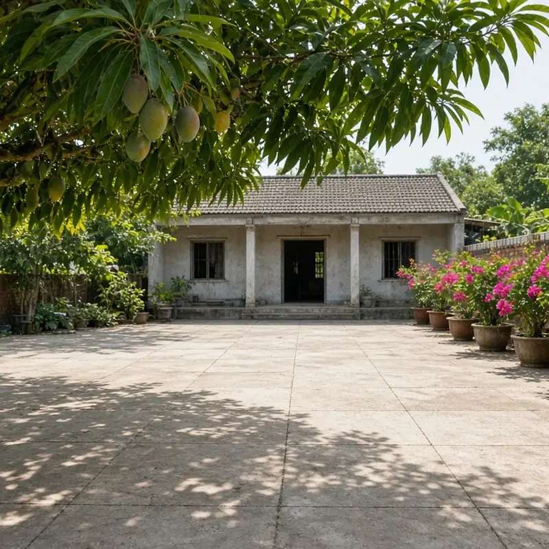 Sân trước