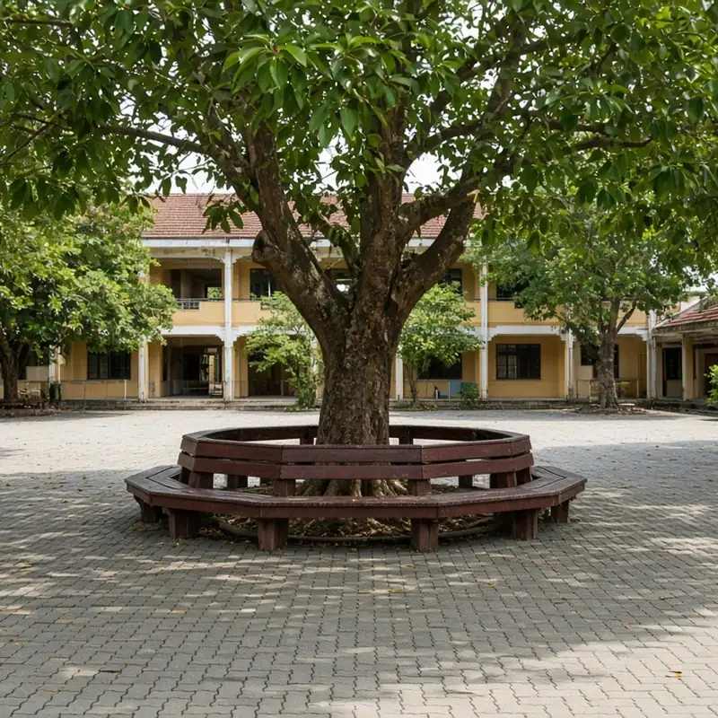 Sân trường