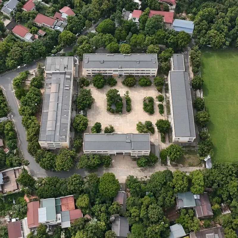 Tổng thể trường học