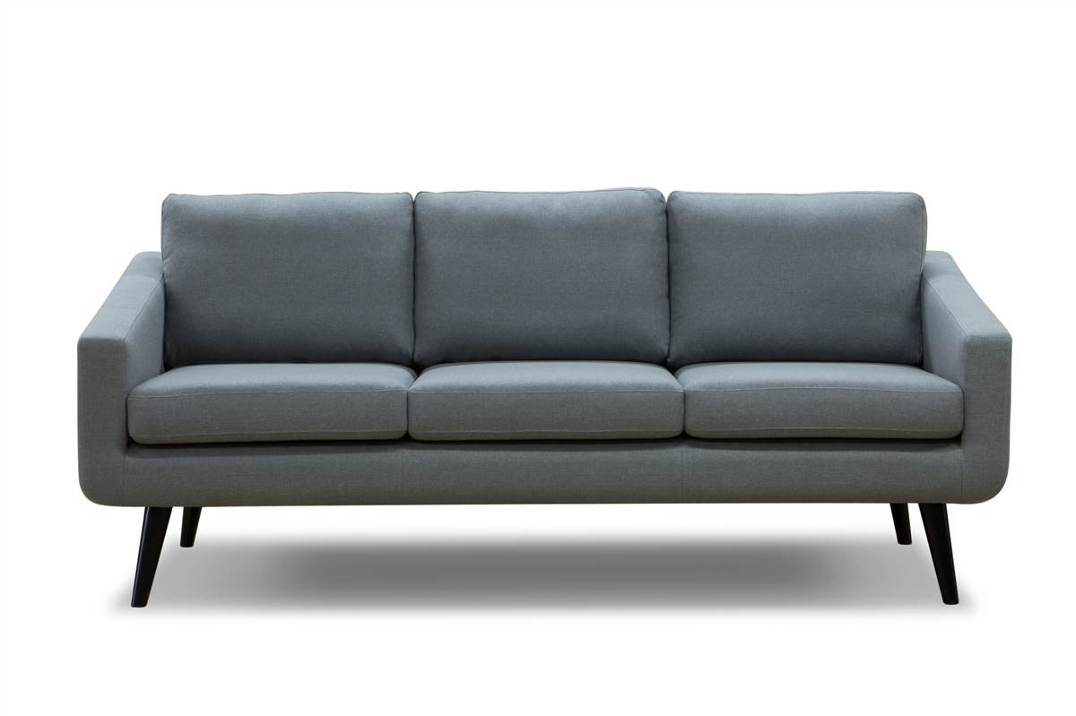 Vệ sinh ghế sofa dài 3 chỗ (100 x 180 cm)