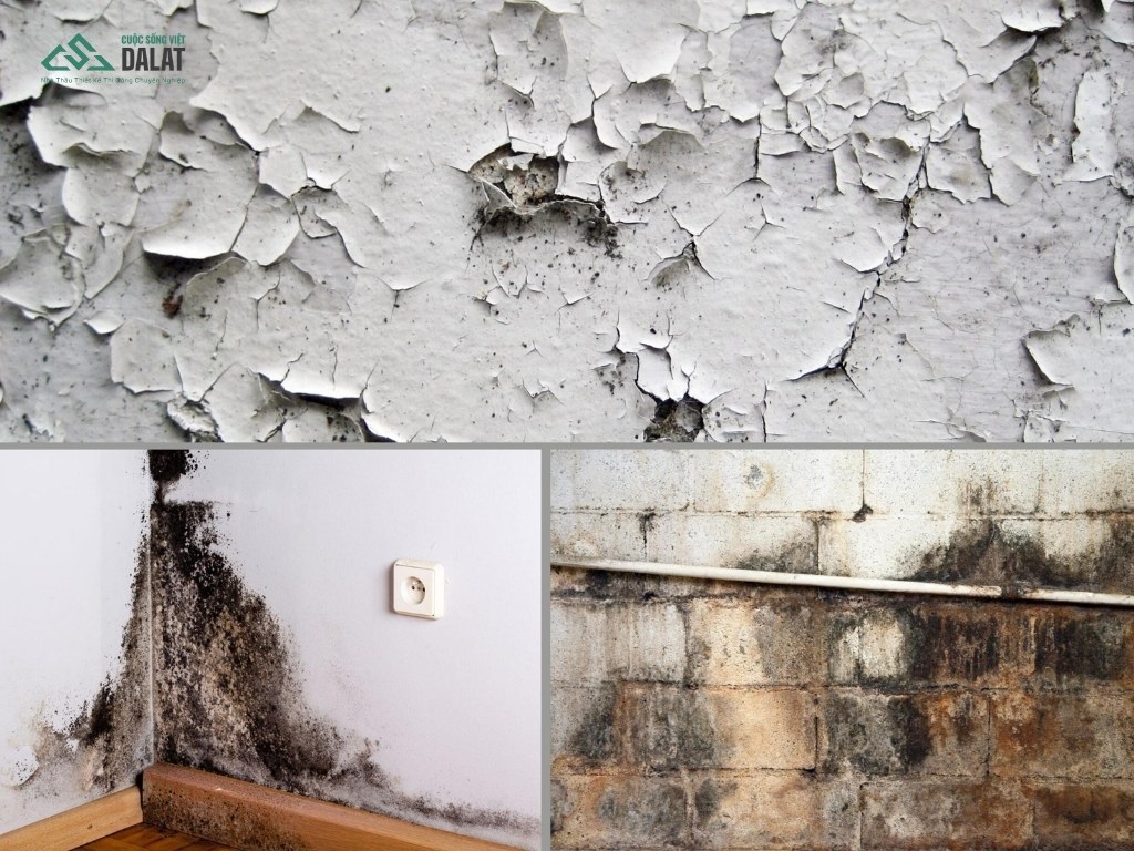 Đánh giá xuống cấp