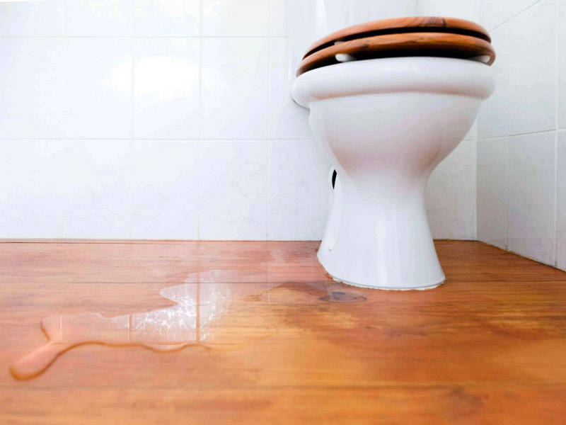 Sửa bồn cầu bị rò nước