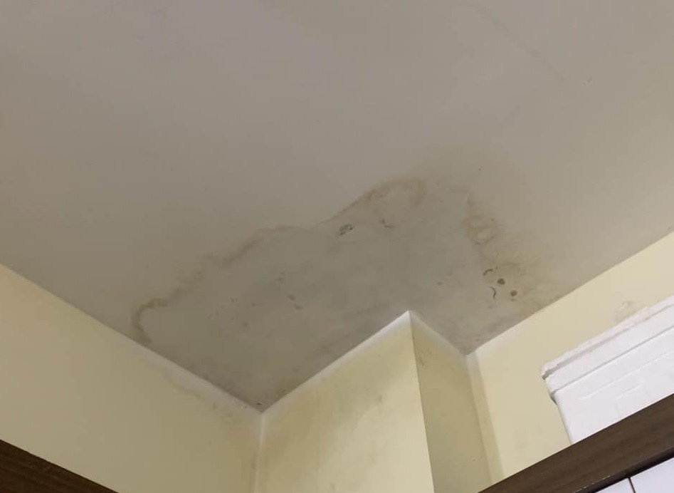 Sửa tường thấm