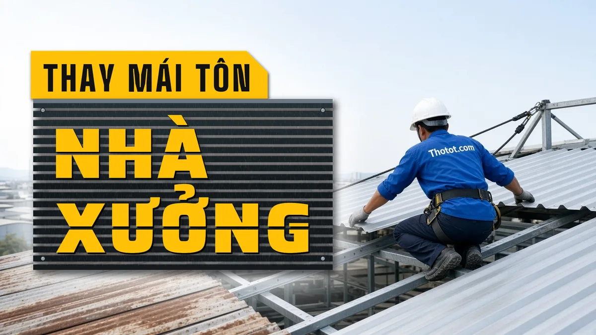 Thay mái tôn nhà xưởng