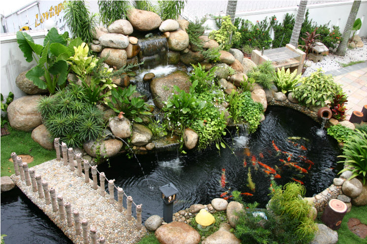 Thi công hồ cá sân vườn