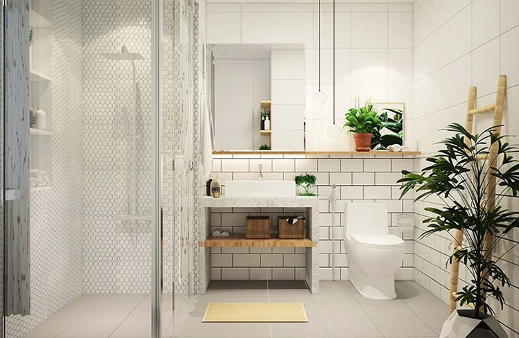 Thi công WC sau cải tạo