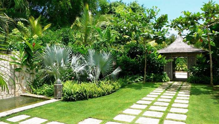 Trồng cây xanh sân vườn