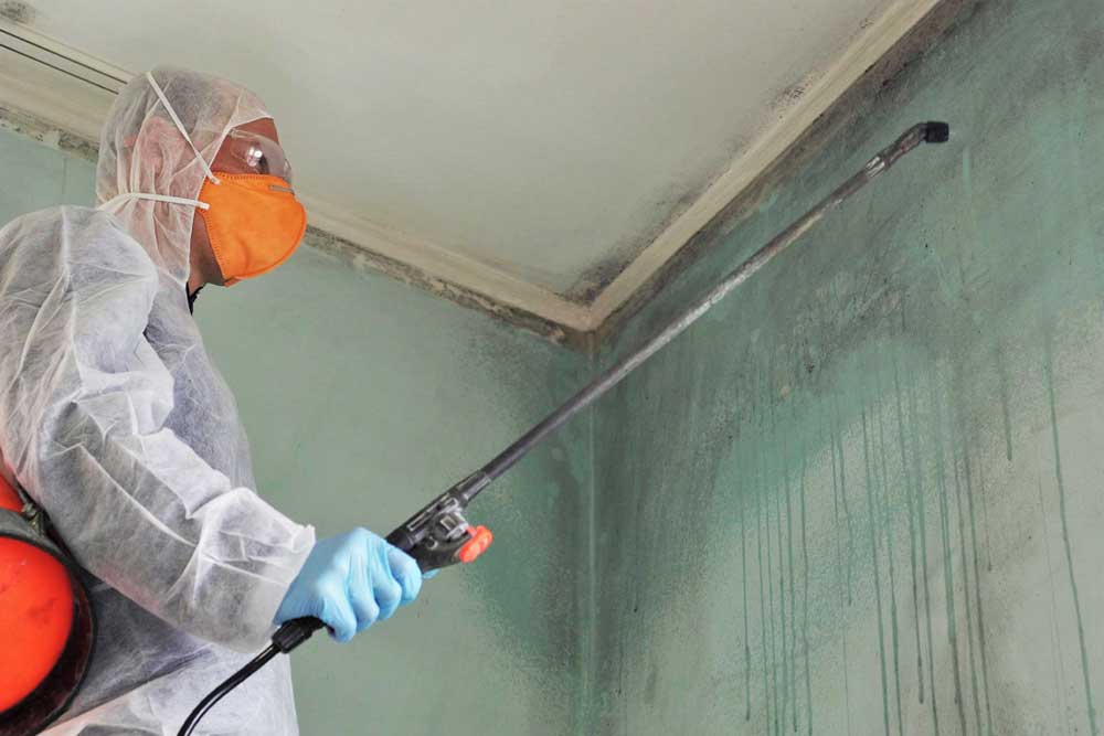 Xử lý ẩm mốc tường