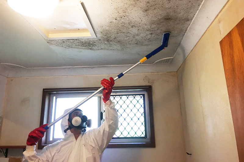 Xử lý nhà phố bị ẩm mốc